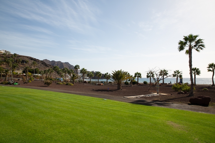 Urlaubsfeeling vom Feinsten beim Blick auf die Grünflächen mit Palmen im Hintergrund. (©Fabig)