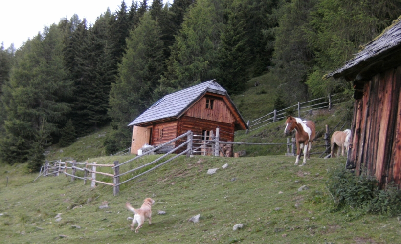 "Der Urlaub war einmalig! Allen, denen ich von der Hütte ohne Strom erzählt habe, haben sofort gesagt, dass ich nie ohne Handy und Laptop auskommen werde, aber die Zeit ging so schnell vorbei, und ich war froh, einfach mal die Natur genießen zu können", schwärmte Tanja von der Alm. Ende des Jahres folgt eine etwas luxuriösere Reise, da gehen die beiden auf eine Kreuzfahrt in der Karibik. Aber davor gibt´s noch eine Party. (© privat) 