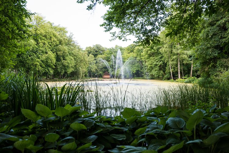 Wer Erholung sucht, wird im Kurpark Irlacher Weiher fündig... (©AIB-KUR GmbH)