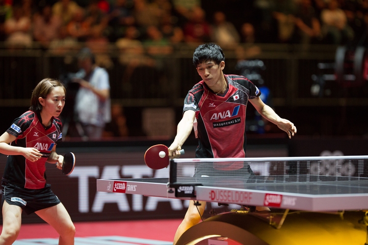 Wie im Halbfinale gegen Solja und Fang Bo... (©Fabig)