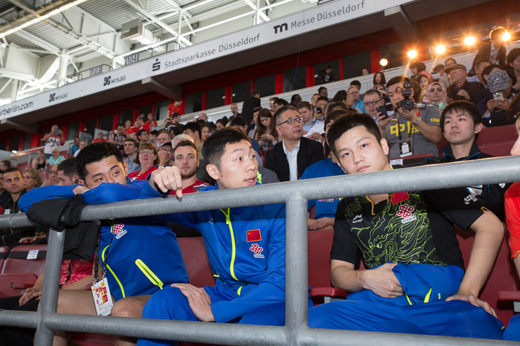 Drei heißen Kandidaten auf den Titel: Zhang Jike, Xu Xin und Fan Zhendong (©Fabig)