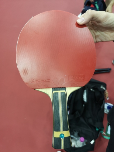 Auf der Rückhandseite seines Zhang Jike Super ZLC spielt er den Dignics 05. (©Gohlke)